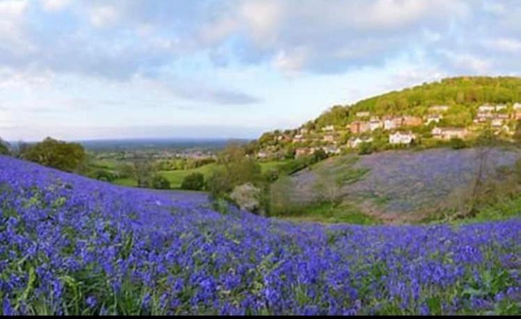 Number36, Hills Garden Access, Unique Retreat Villa Great Malvern Dış mekan fotoğraf